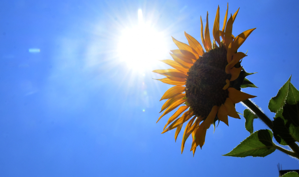 Ανοιξιάτικος καιρός σήμερα με άνοδο της θερμοκρασίας - Πού θα δούμε 20άρια