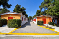 Παιδικές κατασκηνώσεις Αγίου Ανδρέα: Τέλος χρόνου για τις αιτήσεις