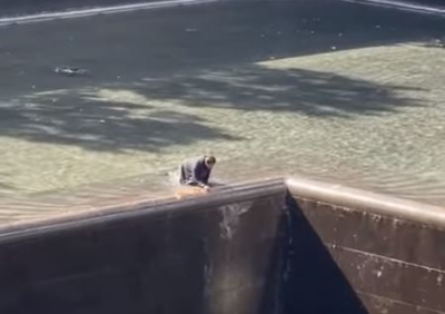 33χρονος πήδηξε σε πισίνα του μνημείου της 11ης Σεπτεμβρίου στη Νέα Υόρκη, (βίντεο)