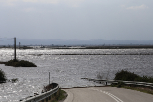 Ξεπερνούν τα 370 εκατ. οι αποζημιώσεις των ασφαλιστικών επιχειρήσεων για την κακοκαιρία «Daniel»