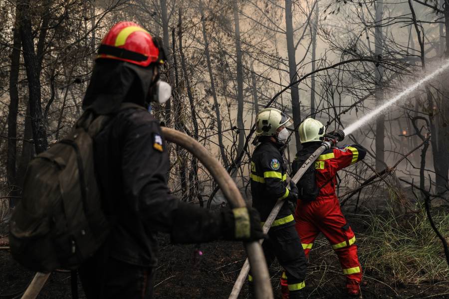 Φωτιά τώρα στην Εύβοια