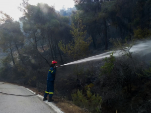 Φωτιά σε δασική έκταση στην Πάρο
