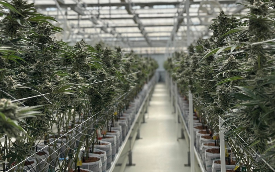 Tikun Olam Greece's Unknown Investors Revealed Amid Bond Conversion