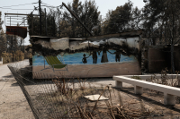 Μέχρι πότε οι αιτήσεις για την αναστολή πληρωμής των επιταγών για πυρόπληκτες επιχειρήσεις