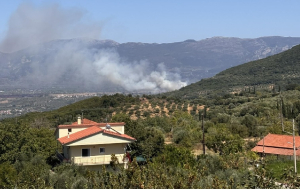 Φωτιά τώρα στον Μελιγαλά Μεσσηνίας, ήχησε «112»