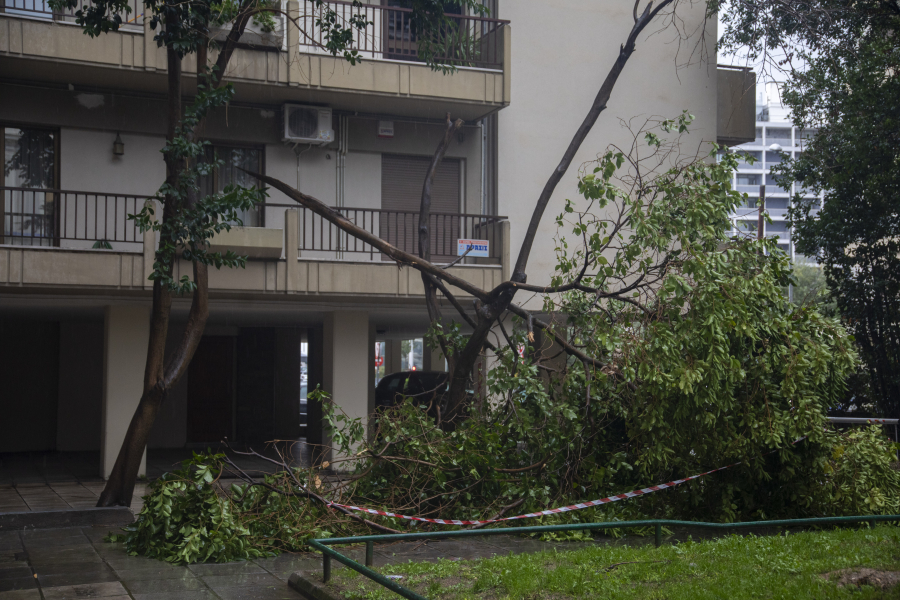 Φύσηξε Βαρδάρης και έριξε δέντρα στη Θεσσαλονίκη