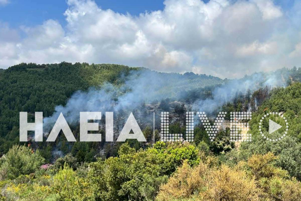 Μεγάλη φωτιά τώρα στην Ηλεία - Επιχειρεί και εναέριο