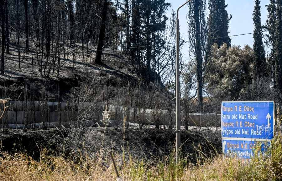 «Καμπανάκι» καθηγητή μετά τις φωτιές στην Πάτρα: «Θα αλλάξει το μικροκλίμα» - Τι πρέπει να γίνει