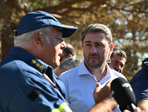 Νίκος Ανδρουλάκης: Δεν μπορεί κάθε χρόνο να κλαίμε πάνω από τα καμένα και η κυβέρνηση να μην κάνει όσα πρέπει