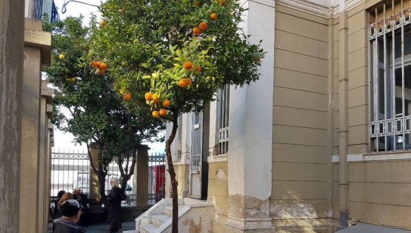 Χίος: Ένοχοι εκ νέου για τα επιδόματα τυφλότητας