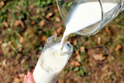 Κίνδυνος για αντικατάσταση του φρέσκου γάλακτος με συνθετική σκόνη λόγω ακρίβειας