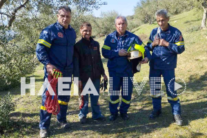 Ηλεία: Επιχείρηση της πυροσβεστική για απεγκλωβισμό…προβάτων