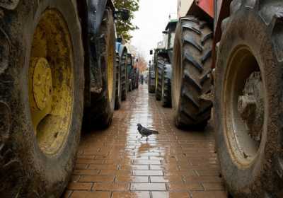 Έρχονται έλεγχοι στη διακίνηση αγροτικών προϊόντων
