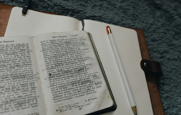 Κινδυνεύει να χαθεί ελληνική γλώσσα; Ο Γιώργος Μπαμπινιώτης εξηγεί