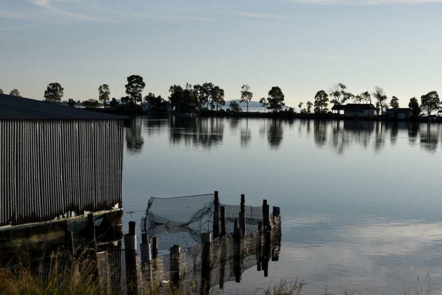Θρίλερ για γερά νεύρα στο Μεσολόγγι - Και δύτης στις έρευνες για τον αγνοούμενο Μπάμπη