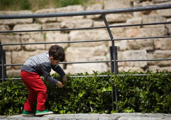 Συμβουλές για «κήπο» στο μπαλκόνι και διώξτε έντομα και κουνούπια