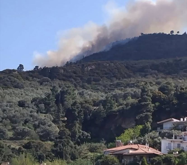 Φωτιά τώρα στην Άμπελο Αχαΐας - Ήχησε το 112 (Βίντεο)