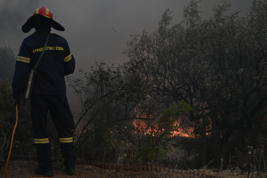Φωτιά τώρα στο Νότιο Πήλιο - Σηκώθηκαν 4 εναέρια, μήνυμα 112 για ετοιμότητα