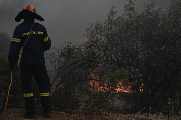 Φωτιά τώρα στο Νότιο Πήλιο - Σηκώθηκαν 4 εναέρια, μήνυμα 112 για ετοιμότητα