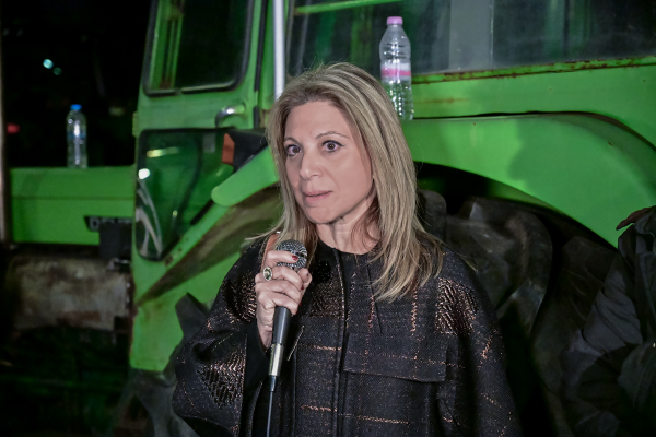 Ποιος θα είναι ο διάδοχος της Καρυστιανού;