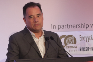 Αντίθετος ο Άδωνις με την παραπομπή Καραμανλή