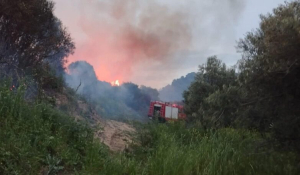 Χωρίς ενεργό μέτωπο η φωτιά στην Ηλεία