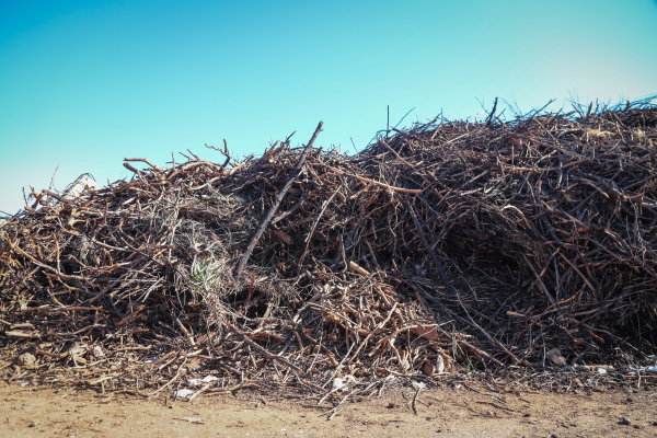 ΠΟΜΙΔΑ: Θετικές αλλαγές αλλά και κρίσιμα κενά στο νομοσχέδιο για τον καθαρισμό οικοπέδων