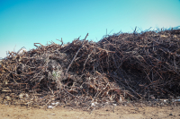 ΠΟΜΙΔΑ: Θετικές αλλαγές αλλά και κρίσιμα κενά στο νομοσχέδιο για τον καθαρισμό οικοπέδων