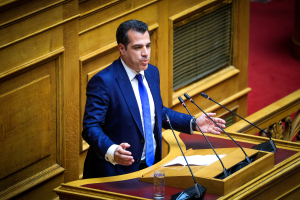 Όλγα Δούρου: Ο κ. Πλεύρης προσβάλλει τους δημότες της Αθήνας