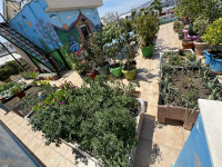 Δήμος Αθηναίων - Οργάνωση Γη: Ψηφίστε τα πιο πράσινα μπαλκόνια της Αθήνας