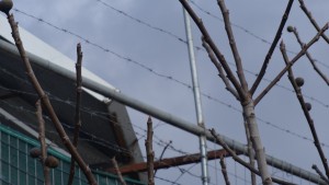 ΣτΕ: Καμία ευθύνη του Δημοσίου για την αυτοκτονία κρατούμενου των φυλακών Ιωαννίνων