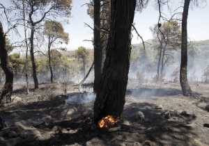 Κατερίνη: Πυρκαγιά σε δασική έκταση των Παλαιών Πόρων