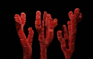 Οι άνδρες χάνουν το χρωμόσωμα Υ: Οι επιστήμονες πίστευαν ότι δεν είχε σημασία αλλά τώρα μαθαίνουμε περισσότερα