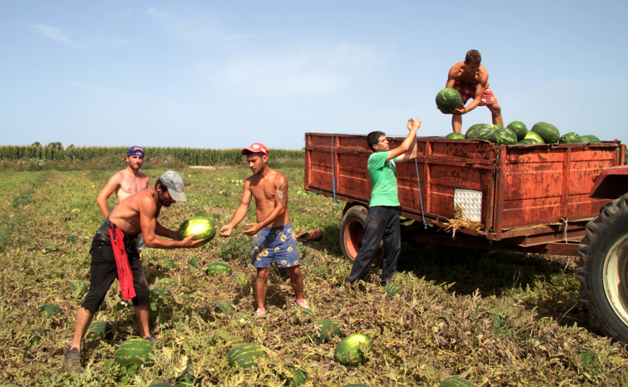 Κενές θέσεις εργασίας: 167.925 μετακλήσεις εργαζομένων από τρίτες χώρες - Η κατανομή των θέσεων ανά κλάδο