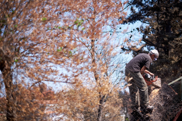 Νέες οδηγίες σχετικά με την Ιδιότητα και την Ταυτότητα Δασεργάτη
