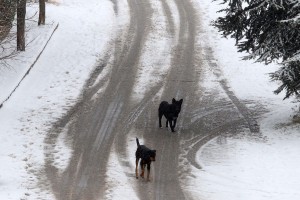 Χειμωνιάτικο σκηνικό στα Ιωάννινα με ασθενείς χιονοπτώσεις στα ορεινά
