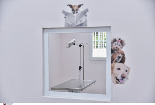 Η Αθήνα απέκτησε το πρώτο Δημοτικό Κτηνιατρείο