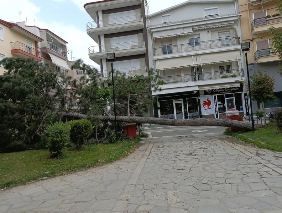 Σφοδρή κακοκαιρία πλήττει τη Δυτική Ελλάδα - Ασταμάτητοι κεραυνοί, πτώσεις δέντρων (εικόνες - βίντεο)