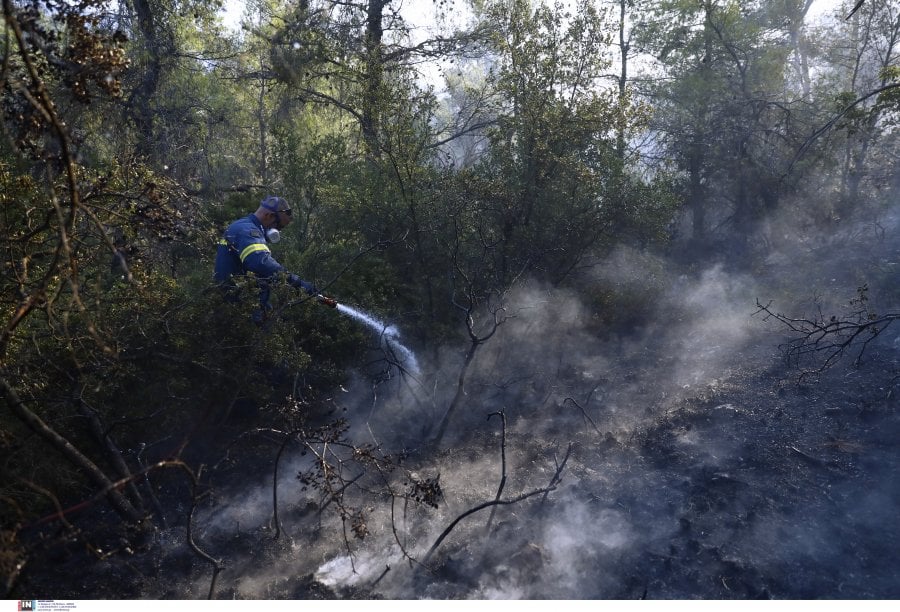 Υψηλός κίνδυνος πυρκαγιάς τη Δευτέρα σε πέντε περιφέρειες