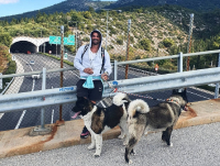 Πρόβλημα υγείας για το Δημήτρη Αλεξάνδρου - Τι συνέβη