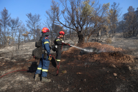 Φωτιά στην Κόνιτσα: Υπό έλεγχο μετά από 21 ημέρες - Στάχτη 10.000 στρέμματα