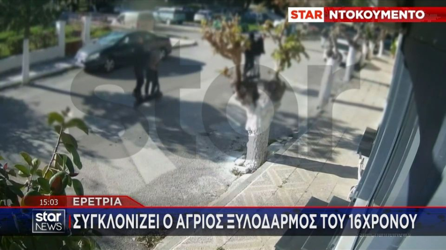 Ερέτρια: Πώς έστησαν ενέδρα οι έξι και έδειραν τον 16χρονο μαθητή - Η στιγμή του ξυλοδαρμού (βίντεο)