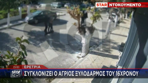 Ερέτρια: Πώς έστησαν ενέδρα οι έξι και έδειραν τον 16χρονο μαθητή - Η στιγμή του ξυλοδαρμού (βίντεο)