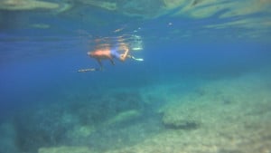 Αγωνία για την τύχη του ψαροντουφεκά στο Ηράκλειο - Αγνοείται από χθες