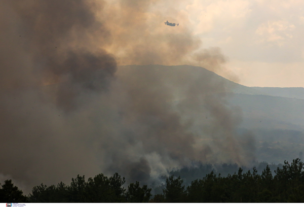 Σε ύφεση η φωτιά στην Καλαμάτα