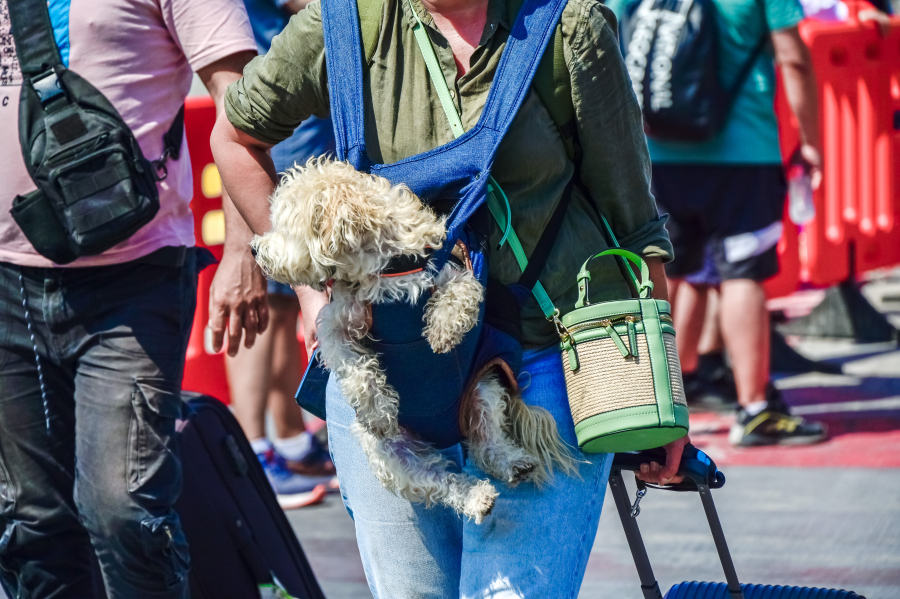 Το «καλοκαίρι των λίγων»: Τα πρώτα συμπεράσματα από τον τουρισμό το 2025