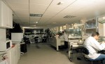 Καταγγελίες για εταιρίες- φαντάσματα που διαφημίζουν προϊόντα λεύκανσης
