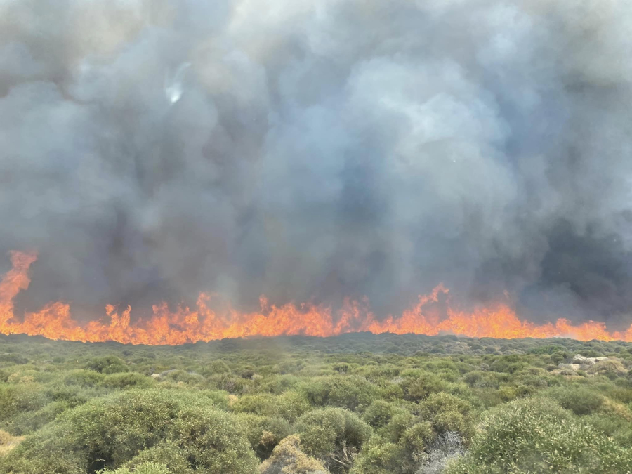 Φωτιά τώρα στην Άνδρο: Κινδυνεύουν σπίτια, εκκενώνεται οικισμός - Οι άνεμοι δυσκολεύουν την πυρόσβεση