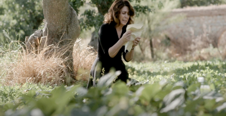 «Άγριες Μέλισσες»: Η «Μυρσίνη» λέει... αντίο από μια παραλία