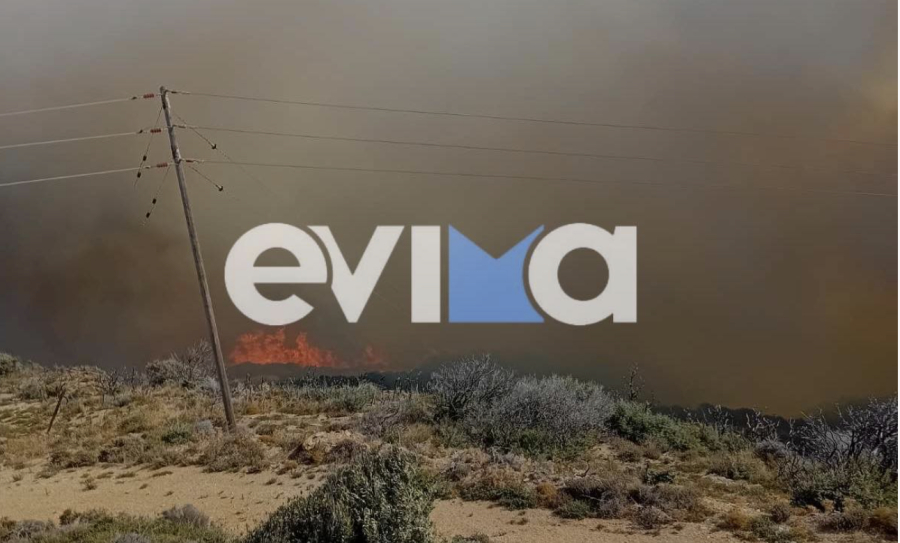 Μεγάλη φωτιά στην Εύβοια: Εκκενώθηκαν τα χωριά Αμυγδαλιά και Πρινιά